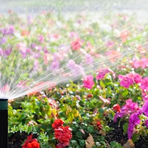 Automatic sprinkler system