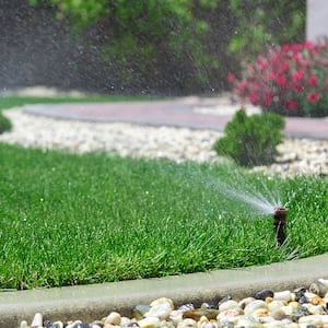 Automatic sprinklers watering grass in front of home