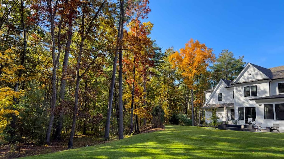 The backyard of a house with trees during autumn