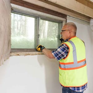 Inspector assessing windows in the basement