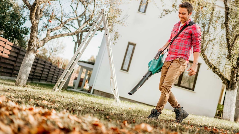 Blowing leaves and pruning trees