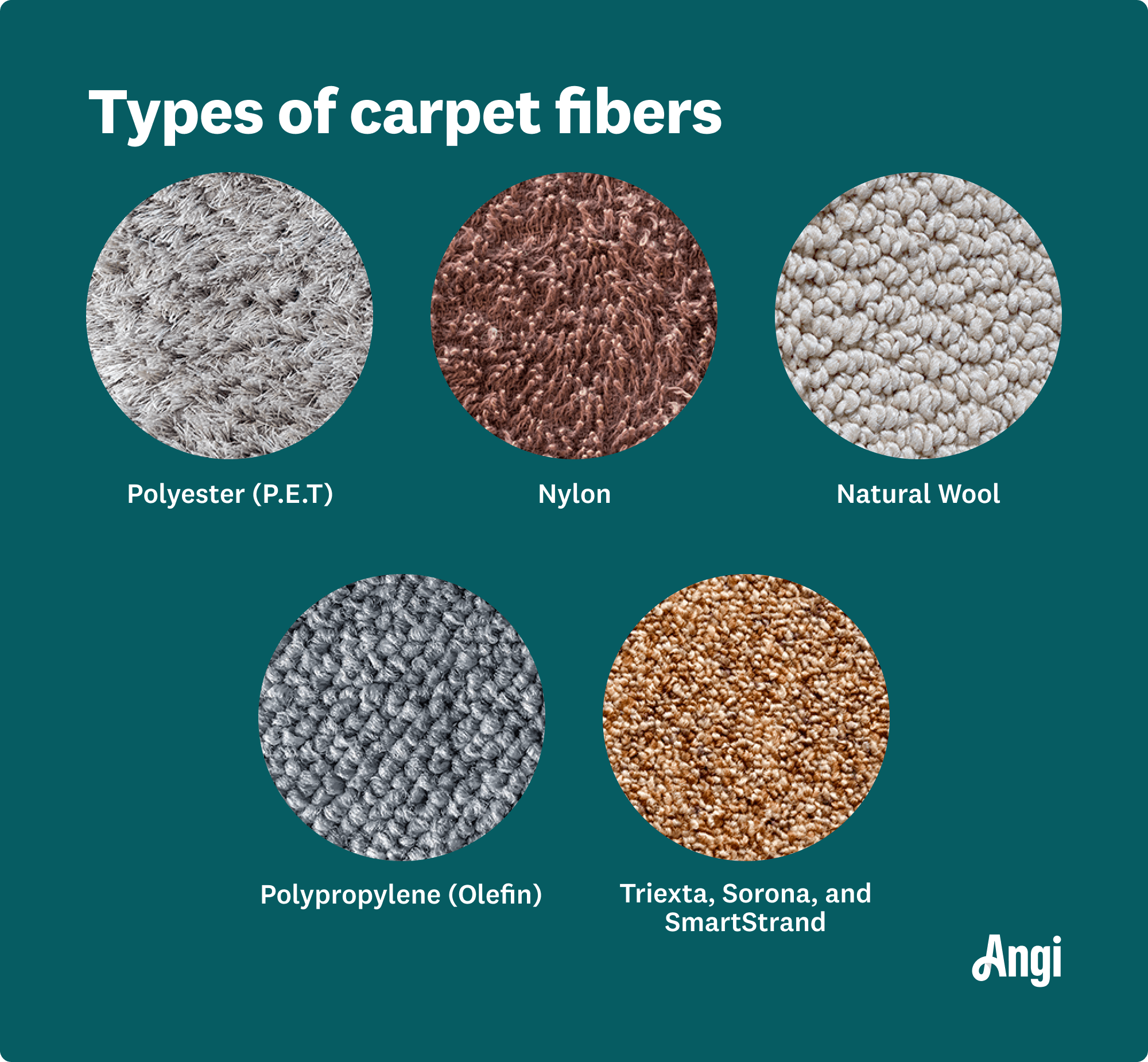 5 carpet fiber types compared visually, including polyester, nylon, and polypropylene