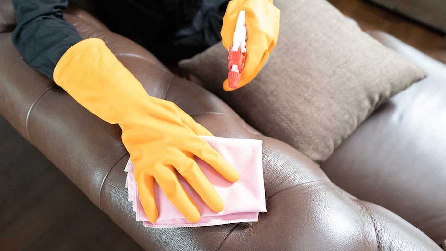 Spot cleaning leather sofa with spray cleaner