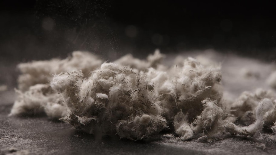 close up of asbestos fibers