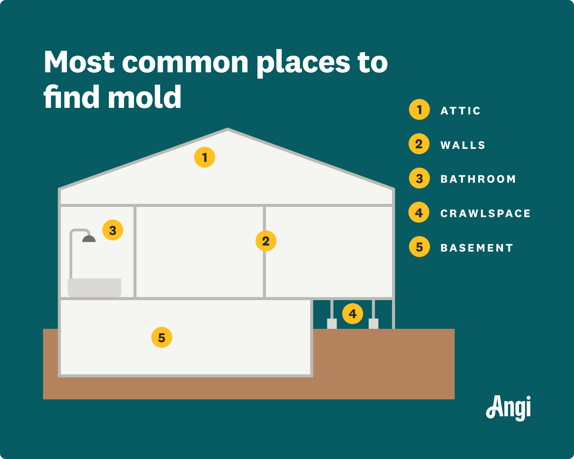 5 common places to find mold illustrated, including attic, walls, and bathroom