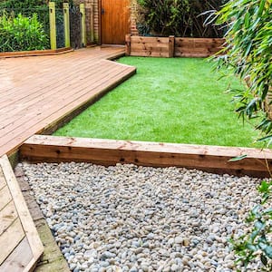 A dog stands in a yard with artificial grass