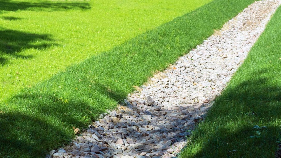 A drainage system in a garden