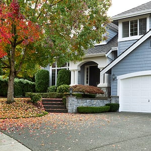 The exterior of a house with landscape