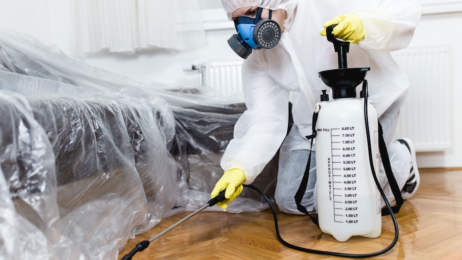 An exterminator spraying pesticide with a sprayer