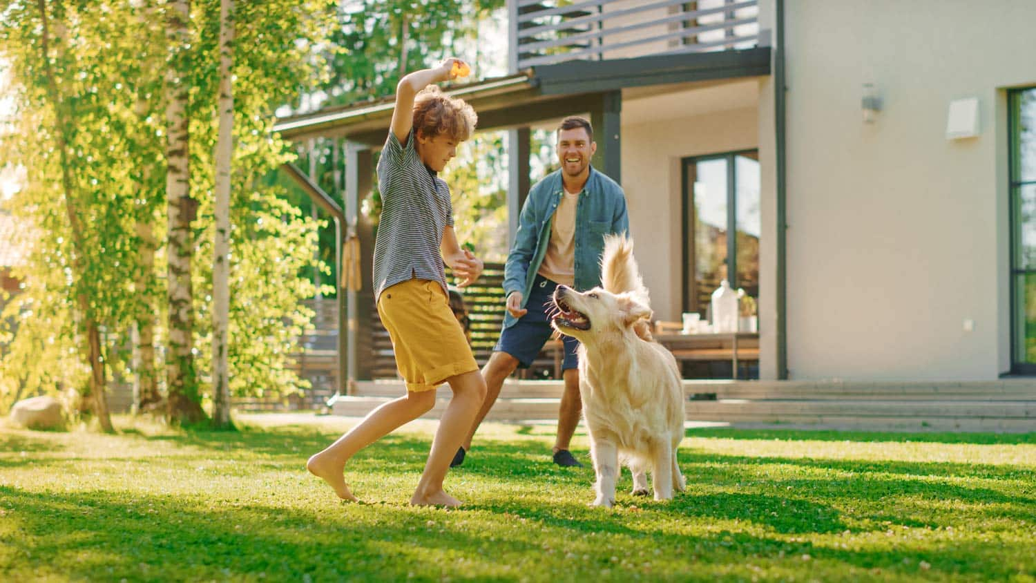 A man, boy, and dog playing in the yard