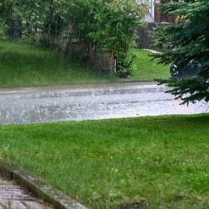 A house’s front yard with lawn on a rainy day