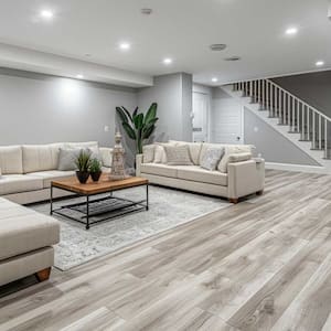 fully furnished living room in basement