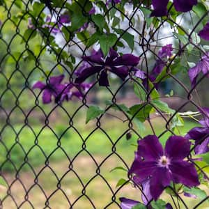 A garden with flowers on a chain link fence