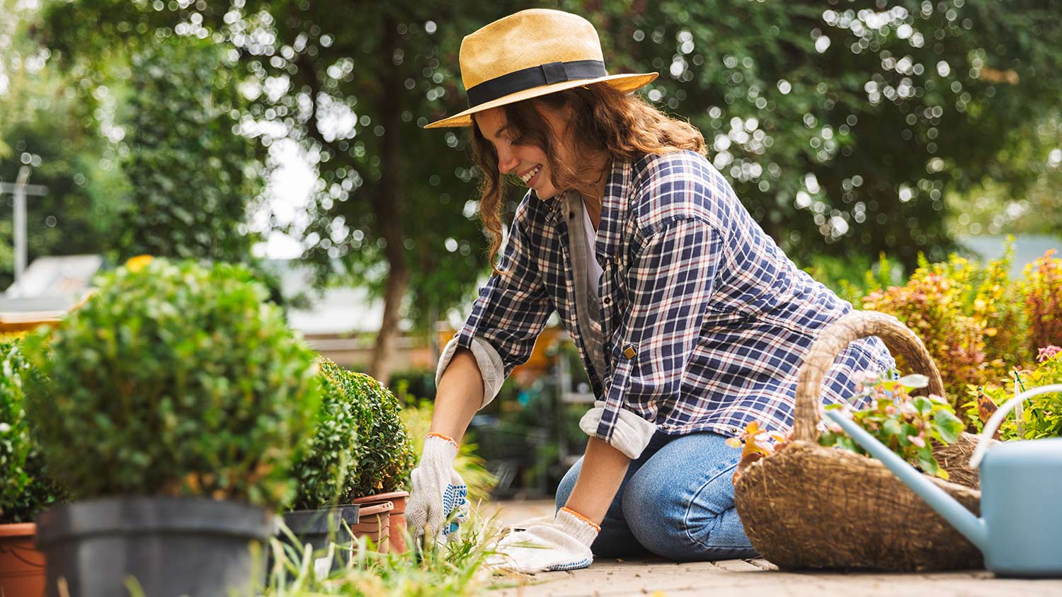 Gardener works in flower beds