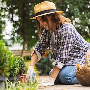 Gardener works in flower beds