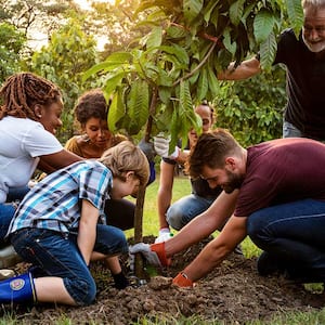 A group of people plant a tree