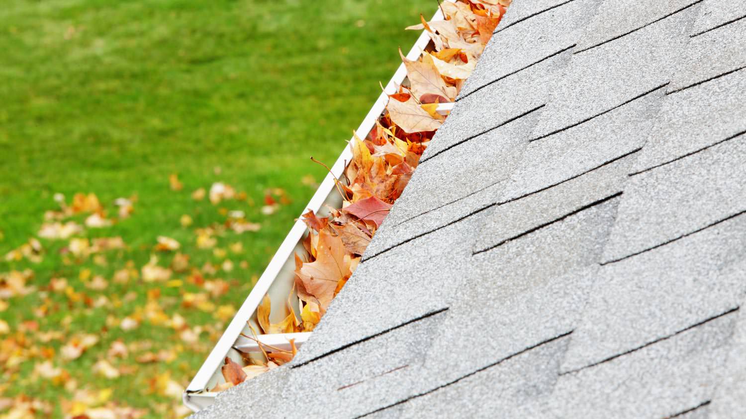 A gutter filled with autumn leaves