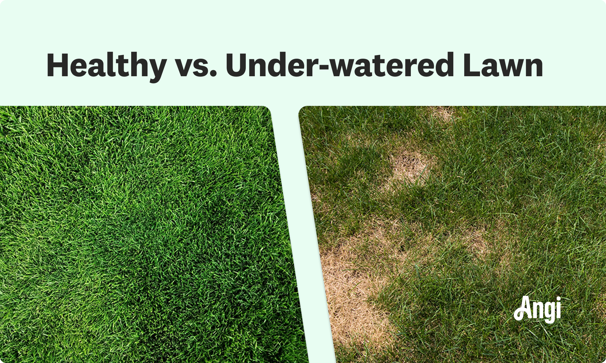 Visual comparison of a healthy lawn versus and under-watered lawn