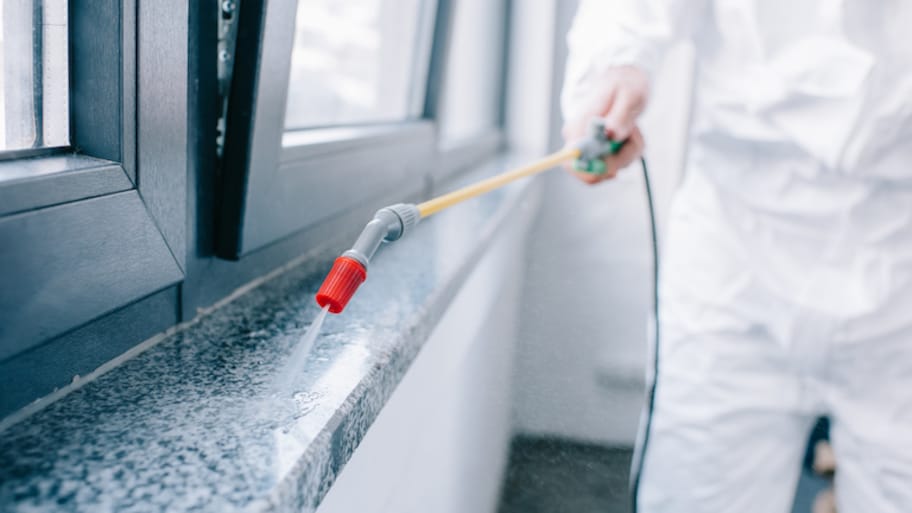 worker in white protective suit spraying pest repellant on window sill