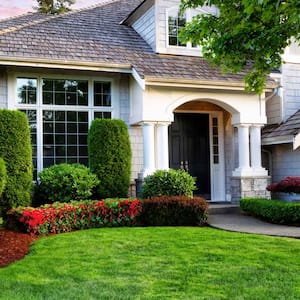 A house with a beautiful garden filled with shrubs and bushes