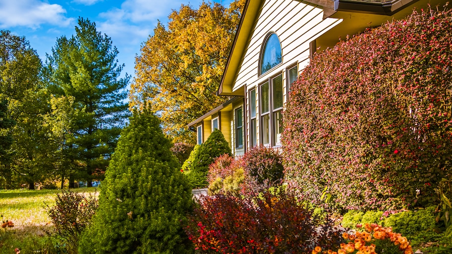 A house with plants and shrubs in its front yard in autumn