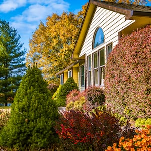 A house with plants and shrubs in its front yard in autumn