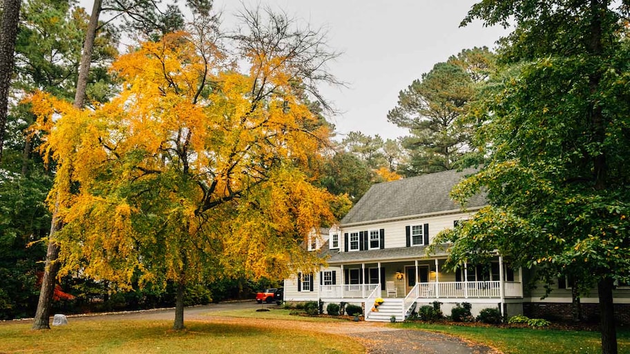 A large oak tree in the yard of a house during fall