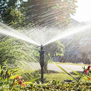 Lawn sprinkler watering plants in the yard 