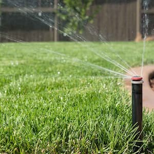 Multiple stream sprinkler head 