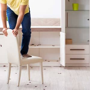 Young man standing on a chair away from cockroaches