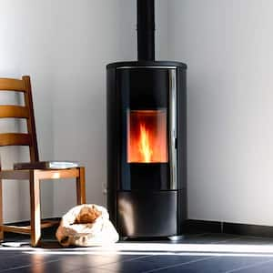 Modern pellet stove with fire burning installed in the house