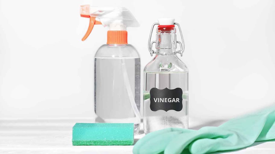 White vinegar and spray bottle sitting on a table