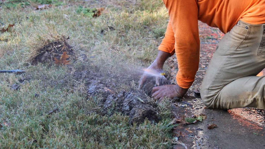 A person maintaining a sprinkler system