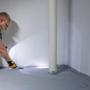 A professional inspecting for mold in the basement