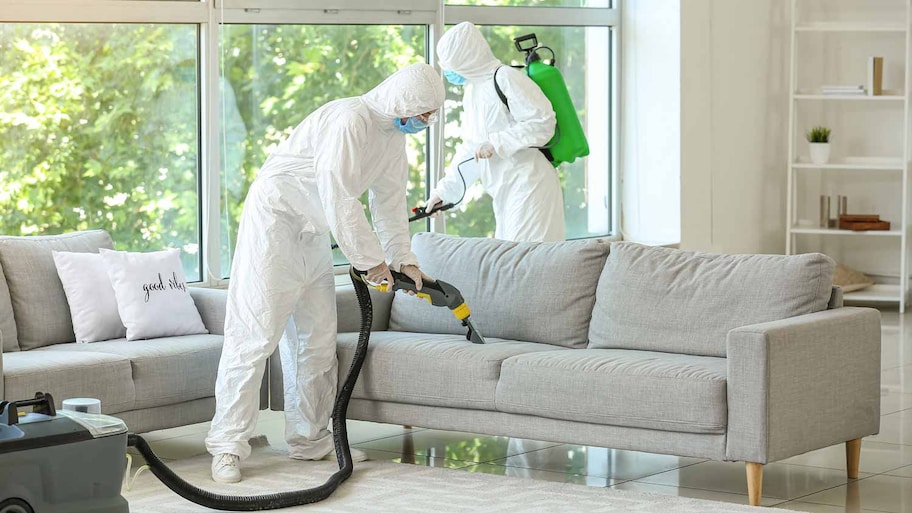 Two professionals fumigating a house’s living room