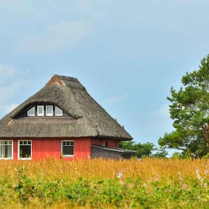 A red house with a thatched roof