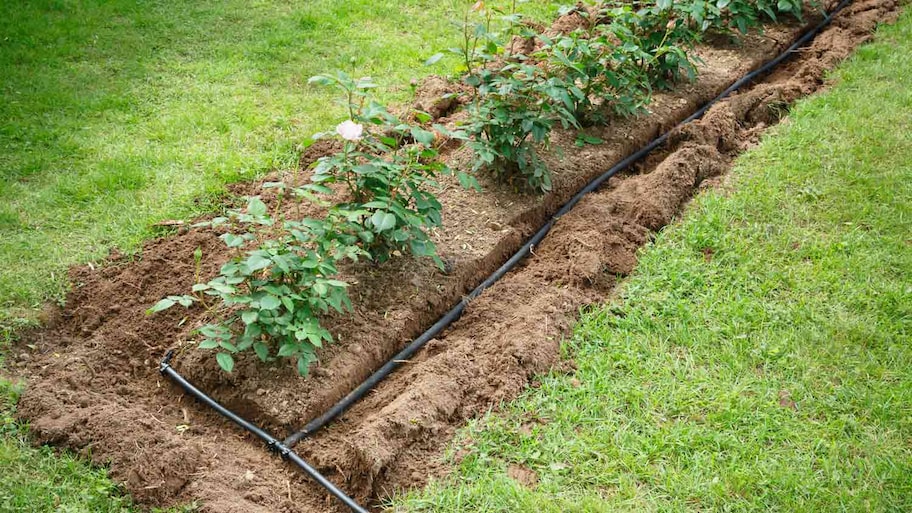 soaker hose in flower bed