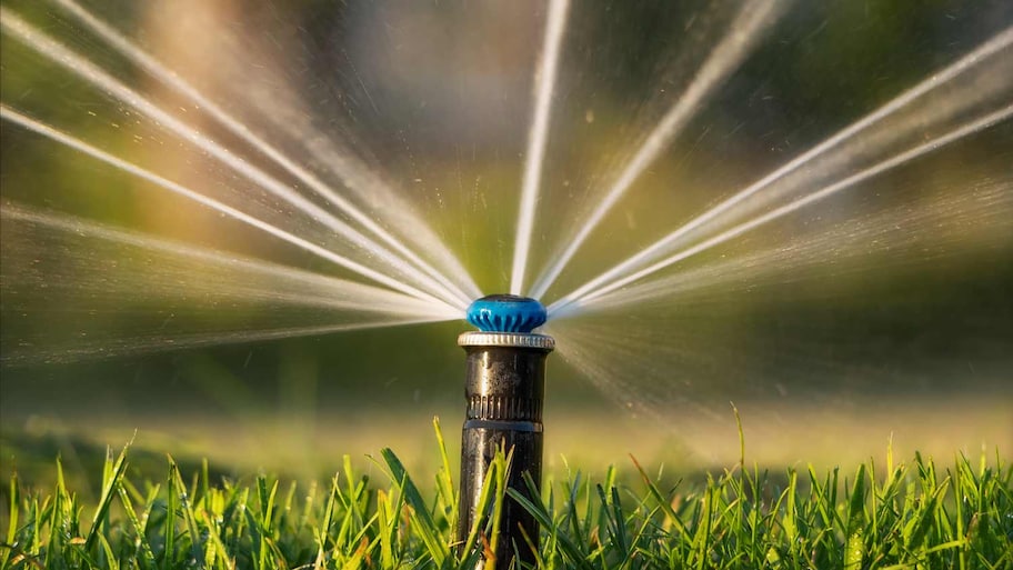 spray irrigation head on grass