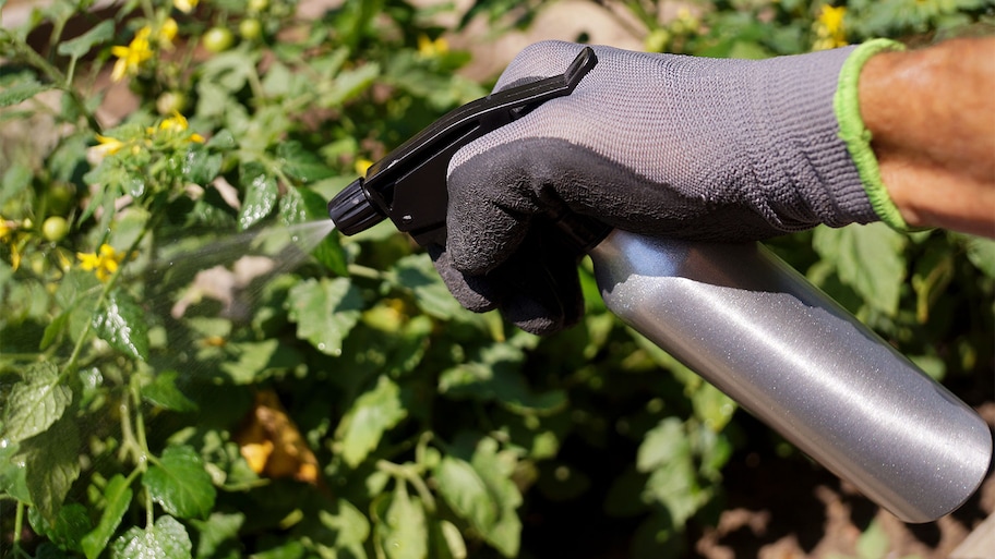 A spray bottle sprays plants