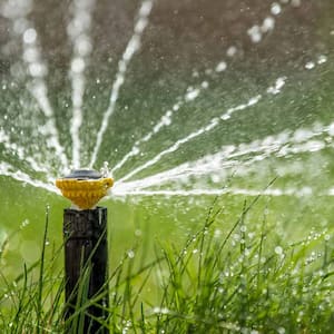 sprinkler in action watering grass