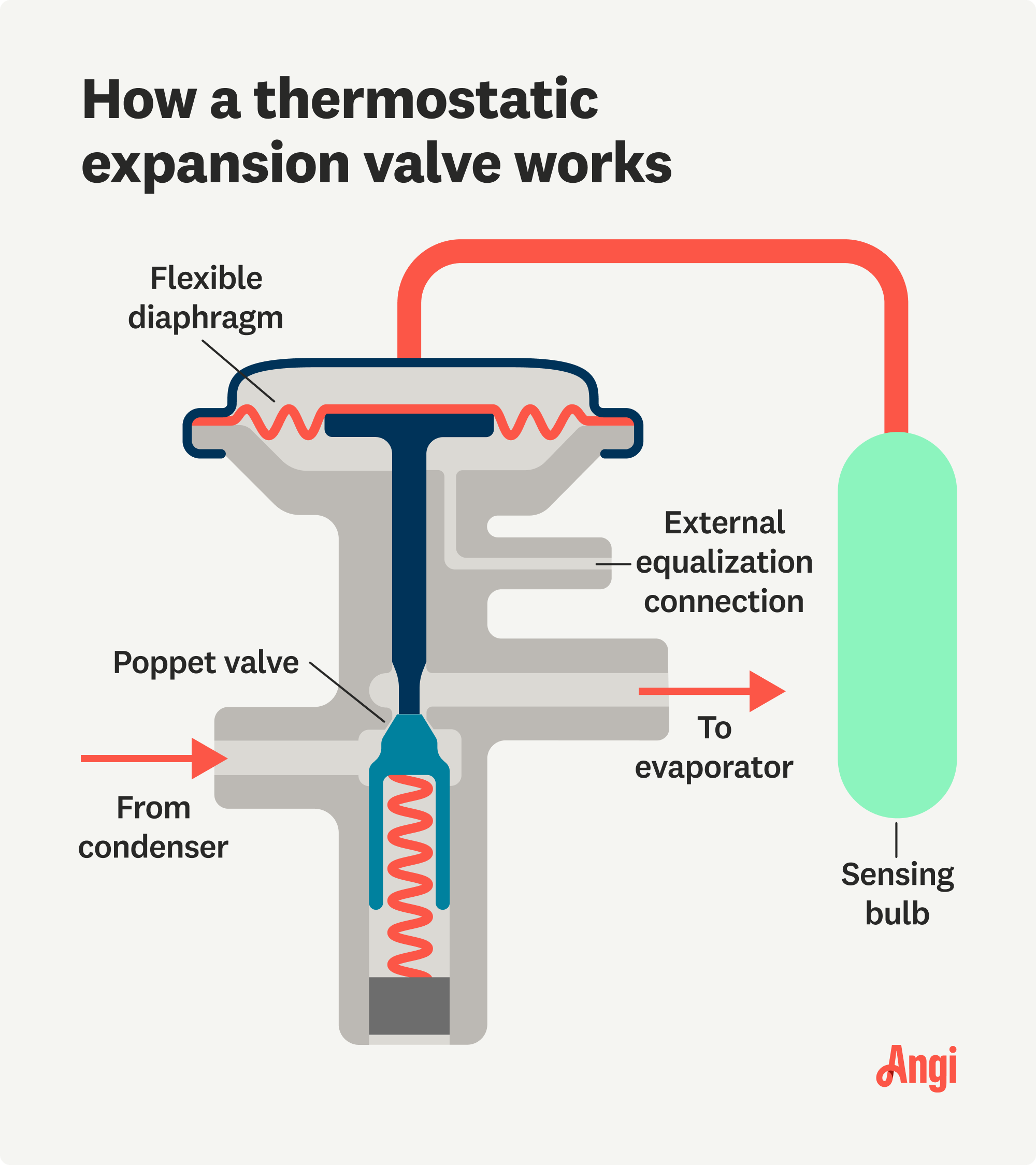 Parts of a thermostatic expansion valve illustrated, including the poppet valve and sensing bulb