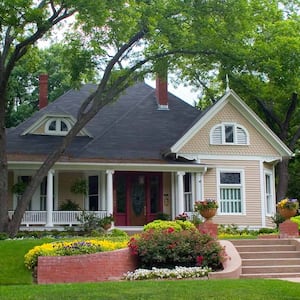 Large trees surrounding classic house