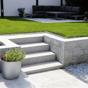 Modern backyard with a turf lawn