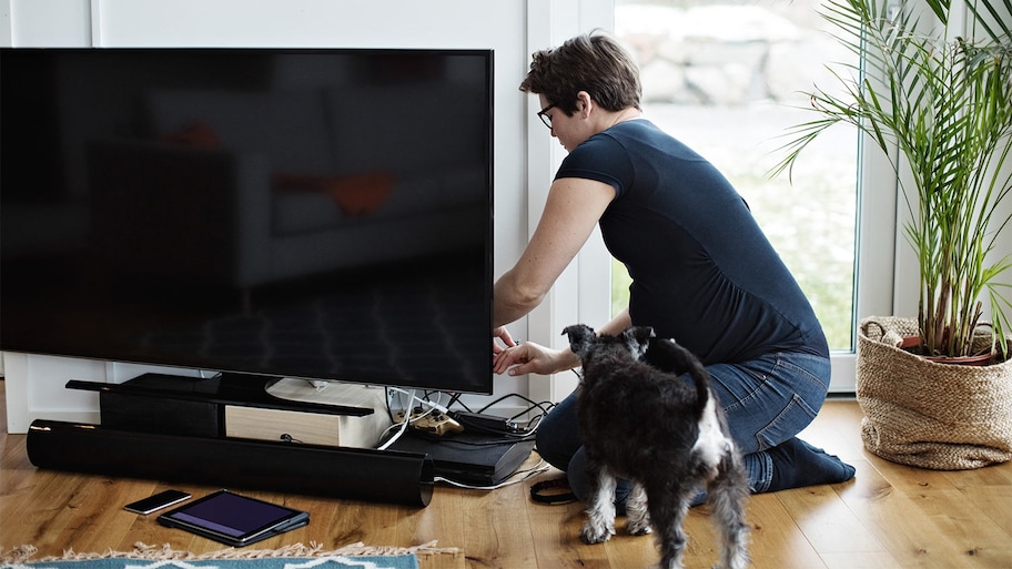 Tv cords living room dog woman