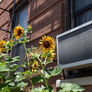 window air conditioner in apartment