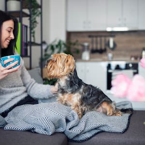 Woman and dog cuddle under blanket