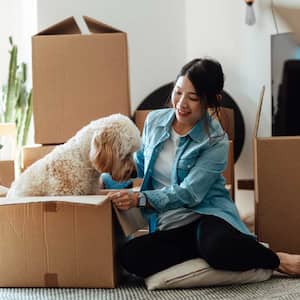 A woman having fun with her dog while packing moving boxes 