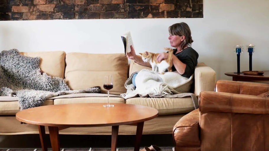 A woman reading with her cat in the living room