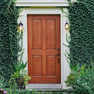  A wooden front door on a vine covered house