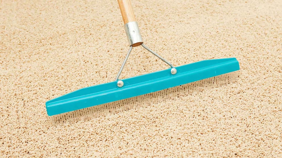 Closeup of a carpet being groomed with a carpet rake